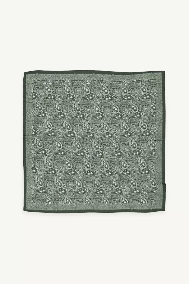 Women Olive Clothing All Over Paisley Scarf, Green