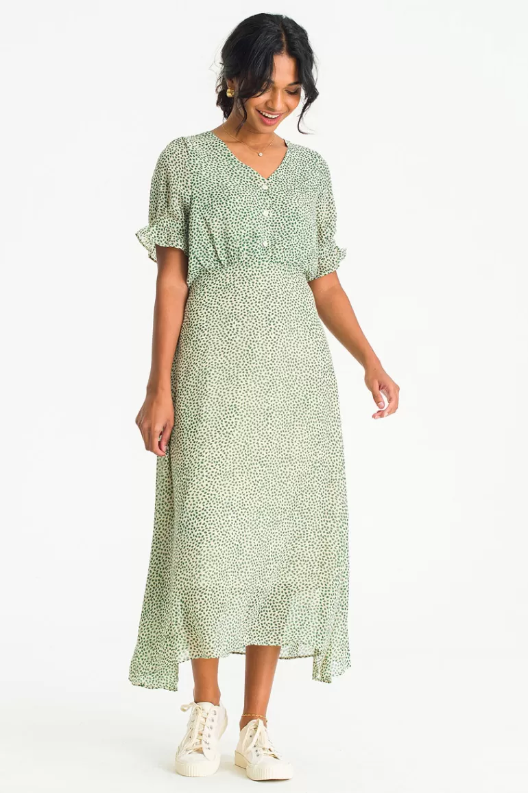 Women Olive Clothing Basil Print Dress, Green