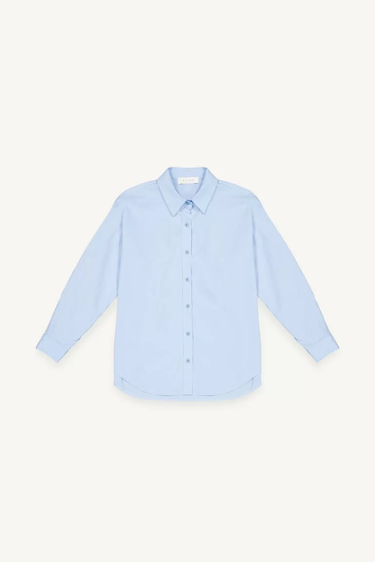 Women Olive Clothing Cotton Standard Shirt, Blue