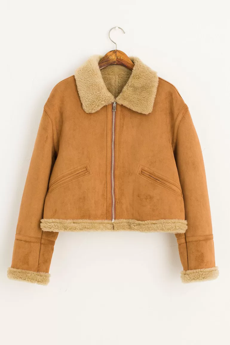 Women Olive Clothing Crop Shearling Jacket, Camel