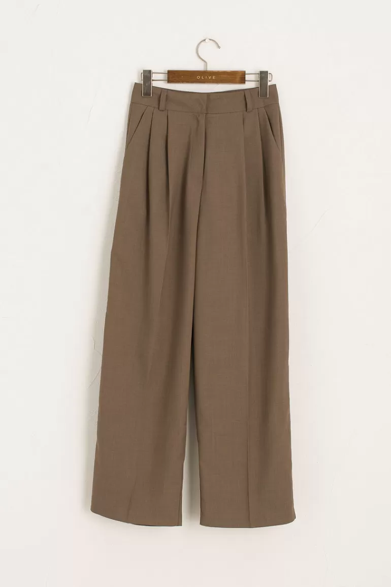 Women Olive Clothing Koya Pleated Slacks, Brown