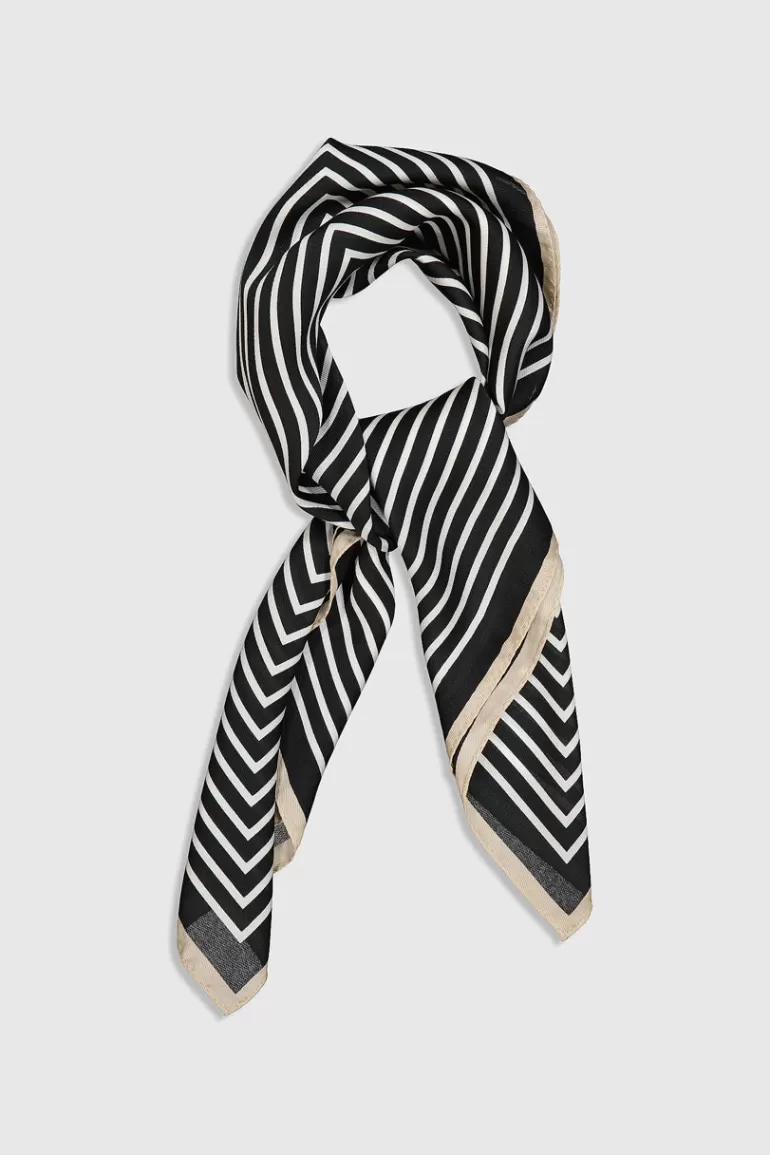 Women Olive Clothing Sora Scarf, Black